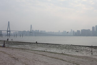 湛江江边城市景观与桥梁远景