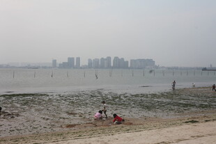 湛江海滨休闲场景 游人漫步