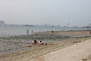 湛江海边休闲场景