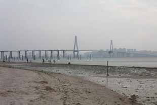 湛江江边大桥远景