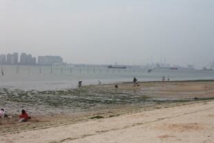 湛江海滨沙滩上的休闲场景