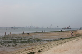 湛江海边沙滩上的休闲场景