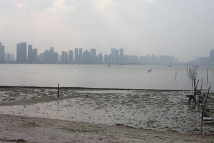 湛江江边城市景观