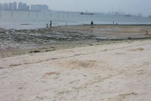 湛江海边沙滩景象