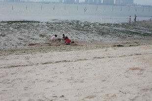 湛江河边沙滩上的休闲场景