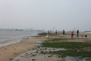 湛江海边沙滩上的休闲人群