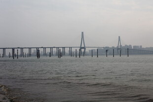 湛江江上大桥远景