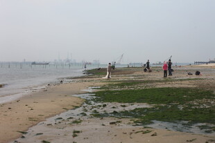 湛江海边漫步场景