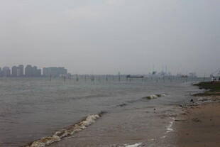 湛江江边城市景观 水波荡漾