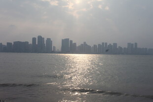 湛江城市江畔的波光粼粼景象