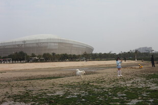 湛江户外体育场远景