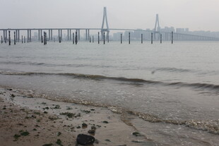 湛江海边远景中的跨海大桥