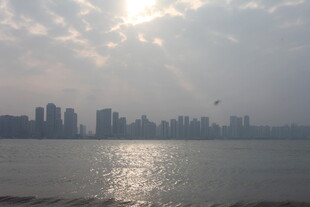 湛江城市江畔的阳光波光景致