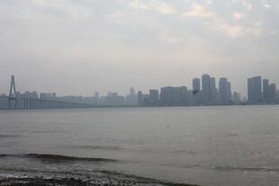 湛江江边城市天际线景观