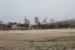 湛江城市边缘的开阔空地场景