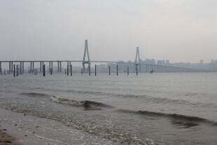 湛江海滨大桥下的宁静滩涂