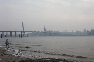 湛江江边大桥下的静谧景象