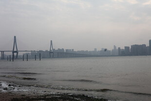 湛江江边城市与大桥景观