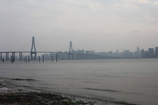 湛江城市跨海大桥远景景观