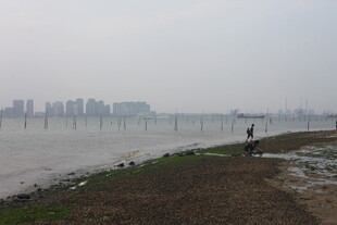 湛江江边漫步景象