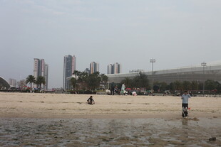 湛江城市边的沙滩休闲场景