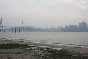 湛江江边城市风光与桥梁景观