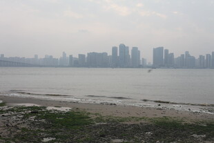 湛江江边城市景观远景