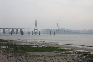 湛江江边大桥远景