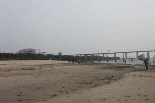 湛江空旷沙地旁的高架桥