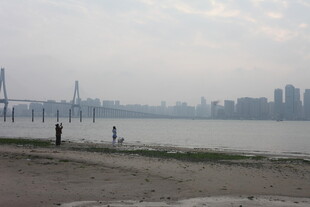 湛江江边城市风光