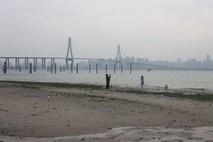 湛江江边大桥下的休闲场景