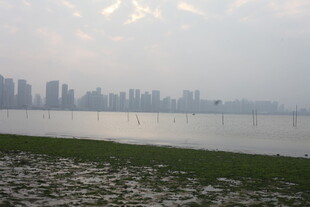 湛江城市江畔风光