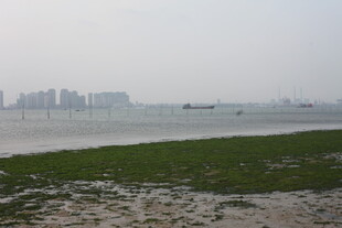 湛江海滨城市风光远景图