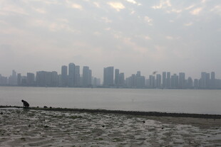 湛江江边城市天际线景观