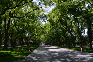 公园风景  