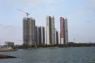 海滨高楼林立的城市景观