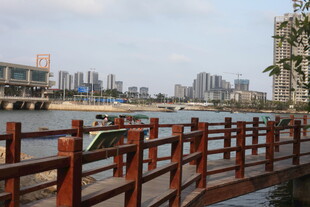 河畔木桥与城市风光