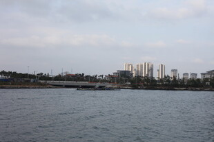 江边城市风光