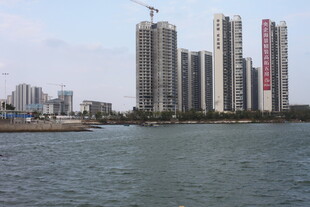 河畔高楼林立的城市景观