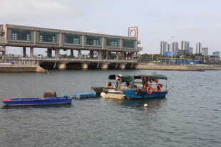 河上作业船只与城市景观