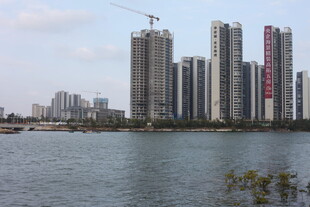 湖畔高楼林立的城市景观