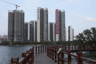 湖畔木栈道旁的高楼景观