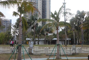 城市公园中的休闲健身场景
