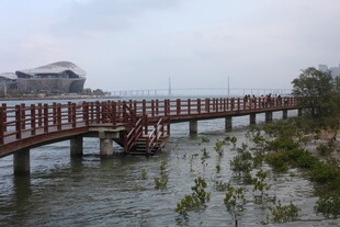 海滨木栈桥延伸至远方