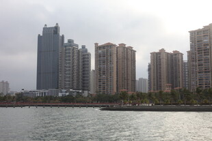河畔高楼林立的城市景观
