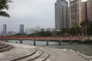 城市河畔桥梁与高楼景观