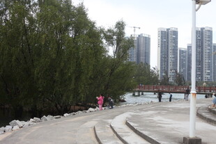 城市河边休闲步道景象