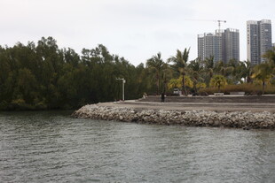 河畔城市景观