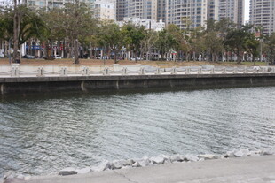 城市河畔风景