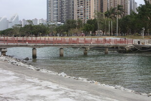 城市河畔桥梁景观